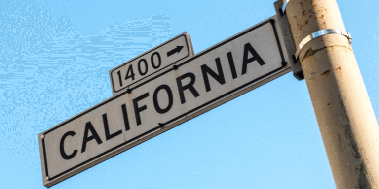 California Business Entity Search