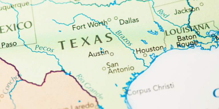 Texas Business Entity Search